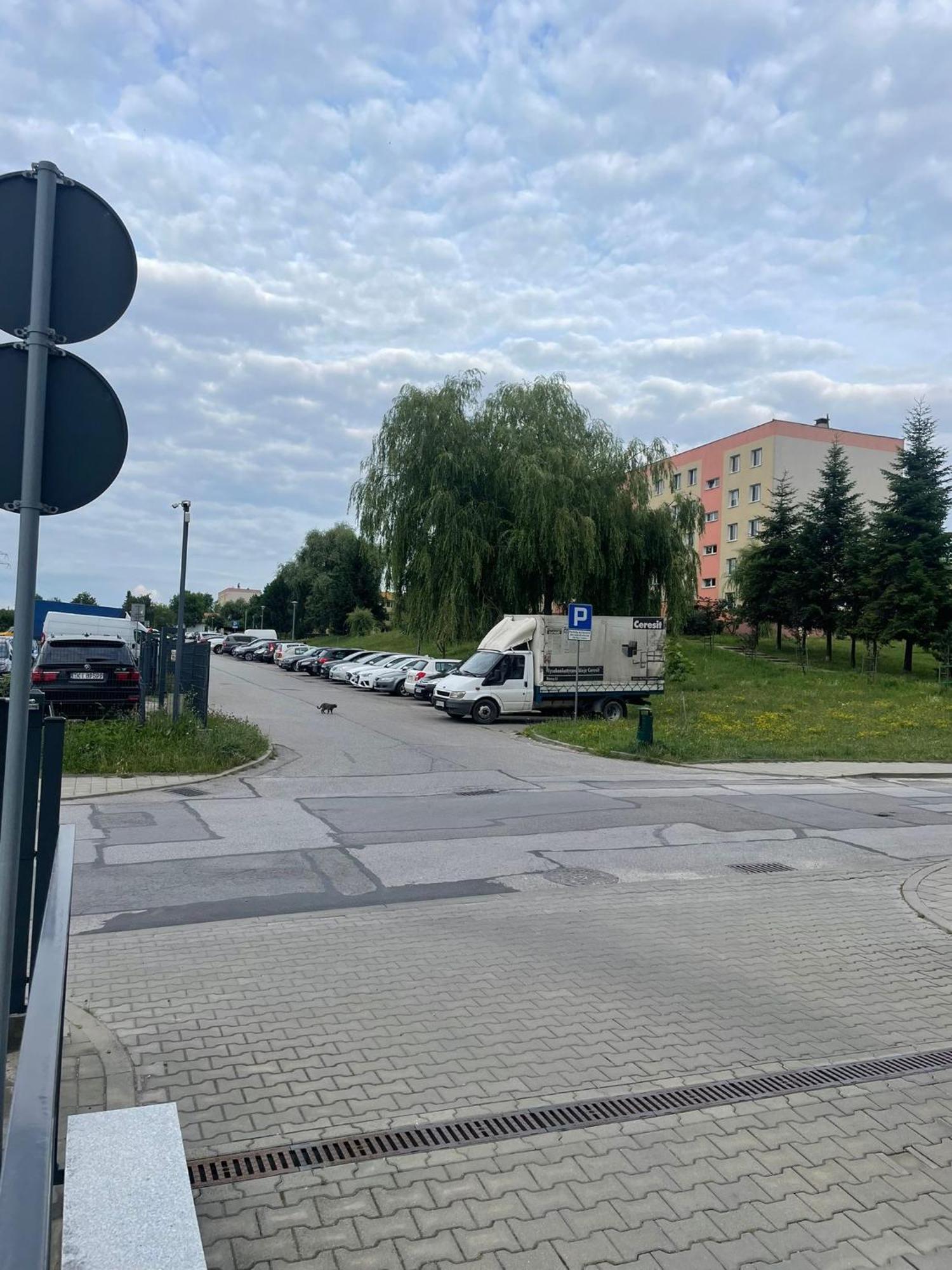 Panorama Z Bezplatnym Parkingiem Апартаменти *
